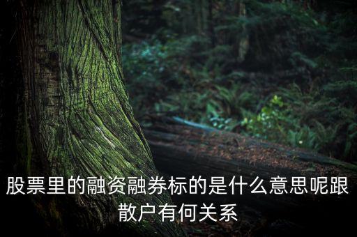 股票里的融資融券標(biāo)的是什么意思呢跟散戶有何關(guān)系