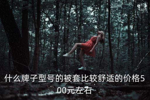被套應該買什么價位的，被套一般超市賣多少錢