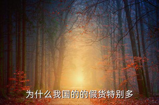 為什么我國的的假貨特別多