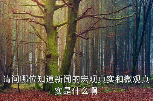 請(qǐng)問(wèn)哪位知道新聞的宏觀真實(shí)和微觀真實(shí)是什么啊