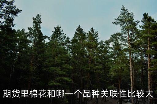 期貨里棉花和哪一個(gè)品種關(guān)聯(lián)性比較大