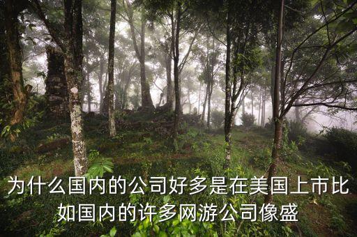 為什么國內(nèi)的公司好多是在美國上市比如國內(nèi)的許多網(wǎng)游公司像盛