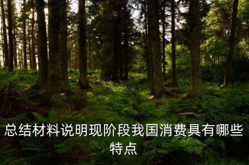 從材料的數(shù)據(jù)中反映了當(dāng)前消費(fèi)的什么特點(diǎn)，總結(jié)材料說明現(xiàn)階段我國(guó)消費(fèi)具有哪些特點(diǎn)