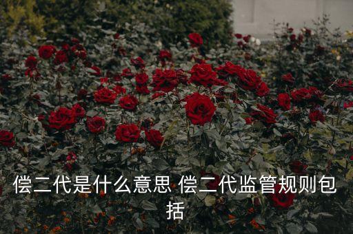 償二代是什么意思 償二代監(jiān)管規(guī)則包括