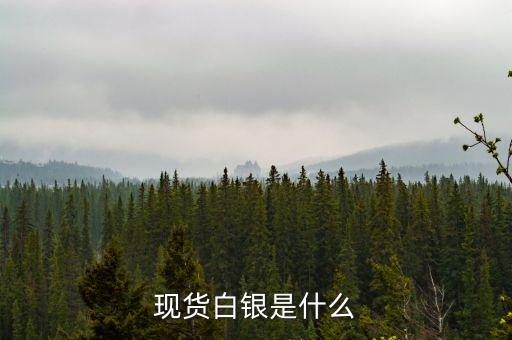 炒白銀是什么，現(xiàn)貨白銀是什么