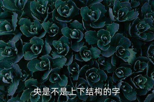 央字是什么結構，央是什么結構