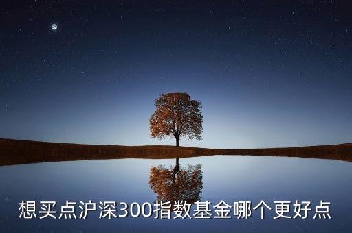 想買點(diǎn)滬深300指數(shù)基金哪個更好點(diǎn)