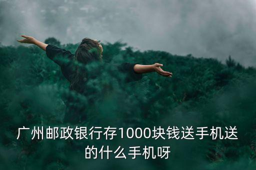 郵政存錢給什么手機，郵政存款送手機