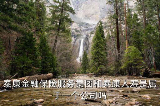 泰康金融保險服務(wù)集團(tuán)和泰康人壽是屬于一個公司嗎