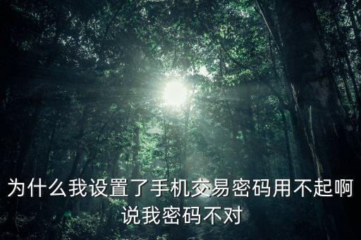 為什么我設(shè)置了手機(jī)交易密碼用不起啊 說(shuō)我密碼不對(duì)