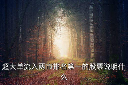 超大單流入兩市排名第一的股票說明什么