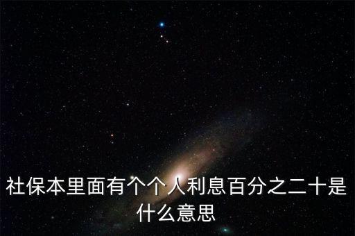 社保本里面有個個人利息百分之二十是什么意思