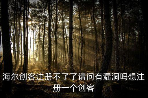 海爾創(chuàng)客注冊不了了請問有漏洞嗎想注冊一個(gè)創(chuàng)客