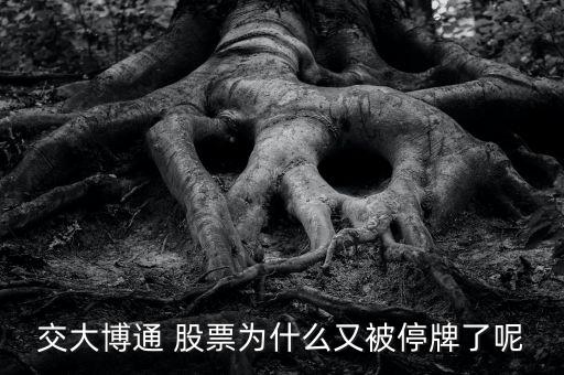 交大博通 股票為什么又被停牌了呢