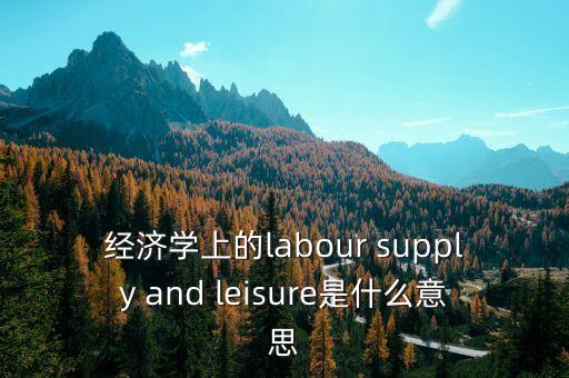 經濟學上的labour supply and leisure是什么意思