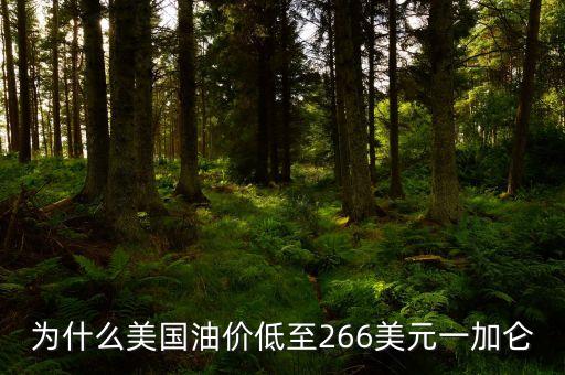 為什么美國油價低至266美元一加侖