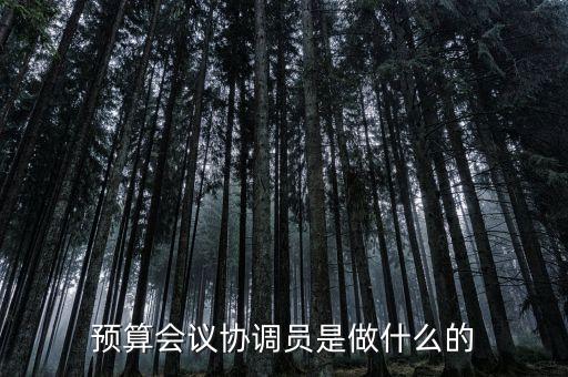 什么是協(xié)調(diào)預(yù)算，預(yù)算會議協(xié)調(diào)員是做什么的