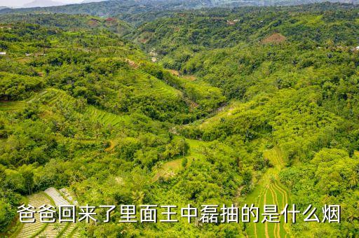 爸爸回來(lái)了里面王中磊抽的是什么煙
