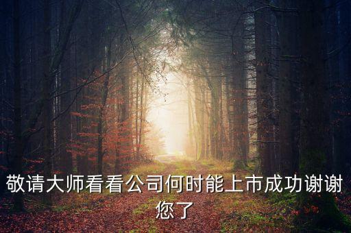 建藝集團(tuán)什么時間申請上市的，敬請大師看看公司何時能上市成功謝謝您了