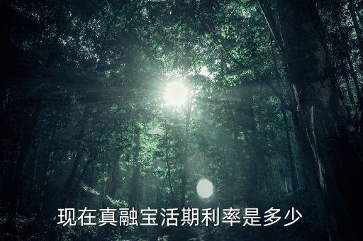 現(xiàn)在真融寶活期利率是多少
