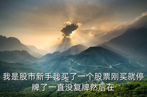 為什么股票停牌機(jī)構(gòu)還可以進(jìn)，為什么股票停牌期間基金持倉還能進(jìn)出