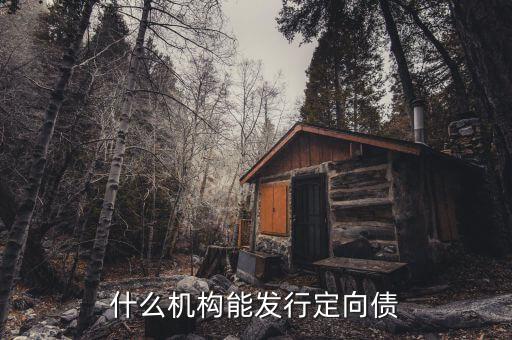 什么機(jī)構(gòu)能發(fā)行定向債