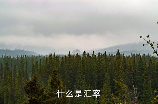 什么是匯率換算，什么是匯率