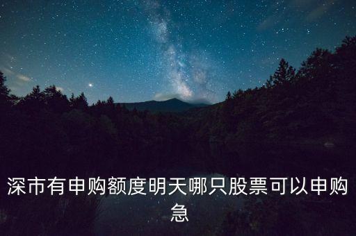 深市有申購(gòu)額度明天哪只股票可以申購(gòu) 急