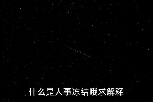 什么是人事凍結(jié)哦求解釋