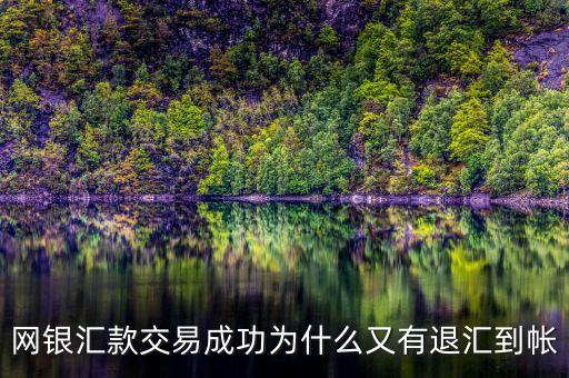 外匯查到交易到帳什么原因，外匯入金一下子就到賬了出金有時候要一兩天是什么原因