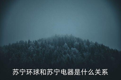 蘇寧與蘇寧環(huán)球什么關(guān)系，蘇寧環(huán)球和蘇寧電器是什么關(guān)系