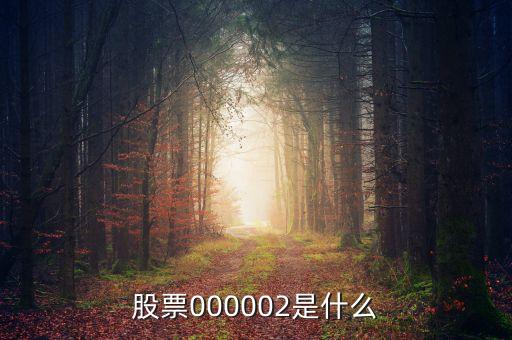 a股指數(shù)000002是什么，股票000002是什么
