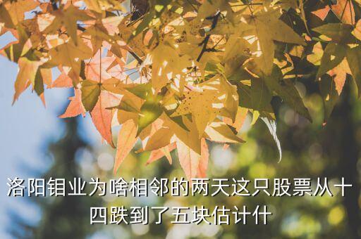 洛陽鉬業(yè)為啥相鄰的兩天這只股票從十四跌到了五塊估計什