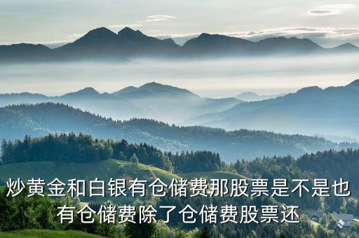 黃金白銀交易公司叫什么稅，稅收 白銀