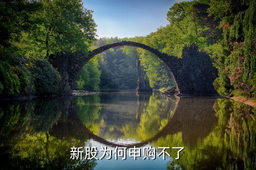 為什么新股不能申購(gòu)，新股為何申購(gòu)不了