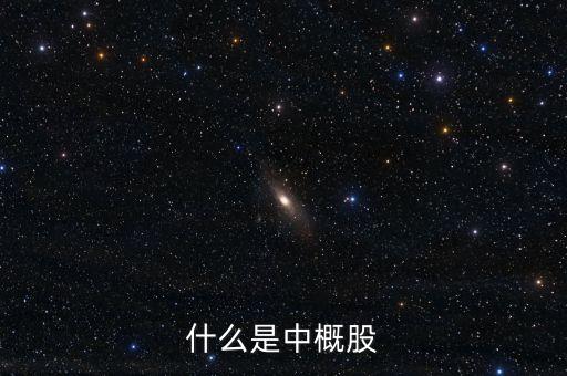 什么是中概股