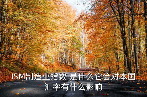 制造指數(shù)是什么，什么是makit制造業(yè)指數(shù)