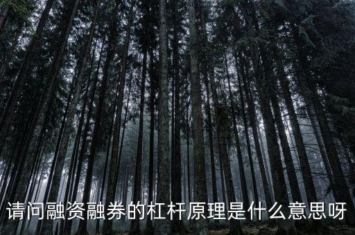 請問融資融券的杠桿原理是什么意思呀
