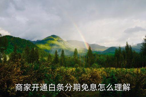 商家開通白條分期免息怎么理解