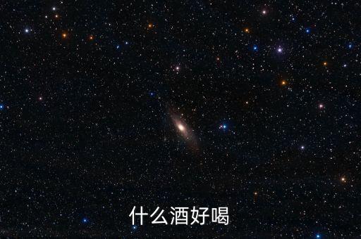 什么酒好喝