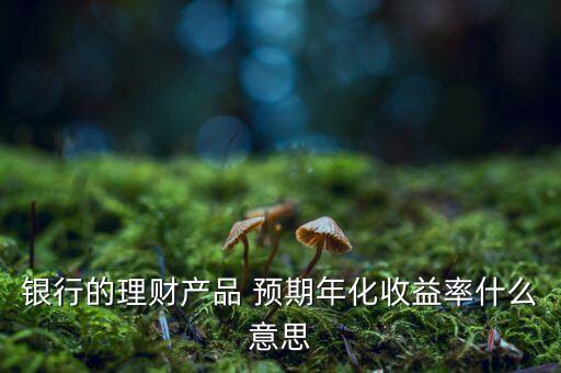 銀行的理財(cái)產(chǎn)品 預(yù)期年化收益率什么意思