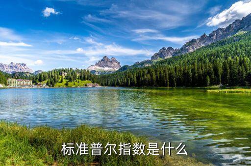 標(biāo)準(zhǔn)普爾指數(shù)是什么