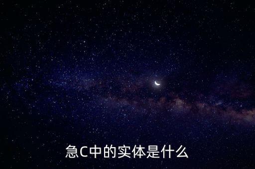 急C中的實體是什么
