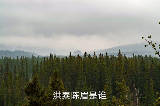 洪泰陳眉是誰