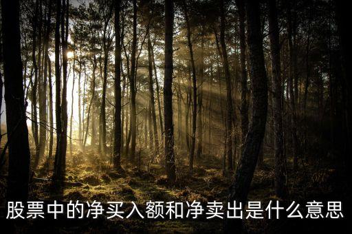 凈買入凈賣出什么意思，股票中的凈買入額和凈賣出是什么意思