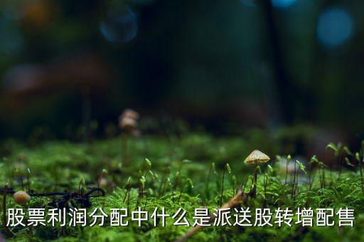股本分紅里的轉(zhuǎn)增和配送是什么意思，分紅配股還有轉(zhuǎn)增是什么意思
