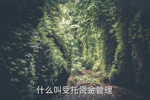 什么叫受托資金管理