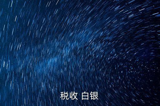 稅收 白銀