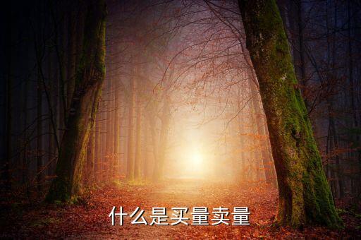期貨買量和賣量是什么意思，什么是賣量和買量