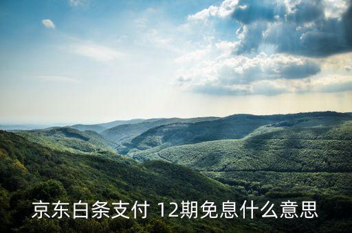 京東的白條分期免息什么意思，商家開(kāi)通白條分期免息怎么理解